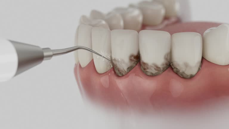 Reliable Dental contractor in Bloomsburg, PA by Dentist Open Now